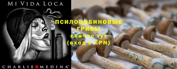 гашик Балабаново